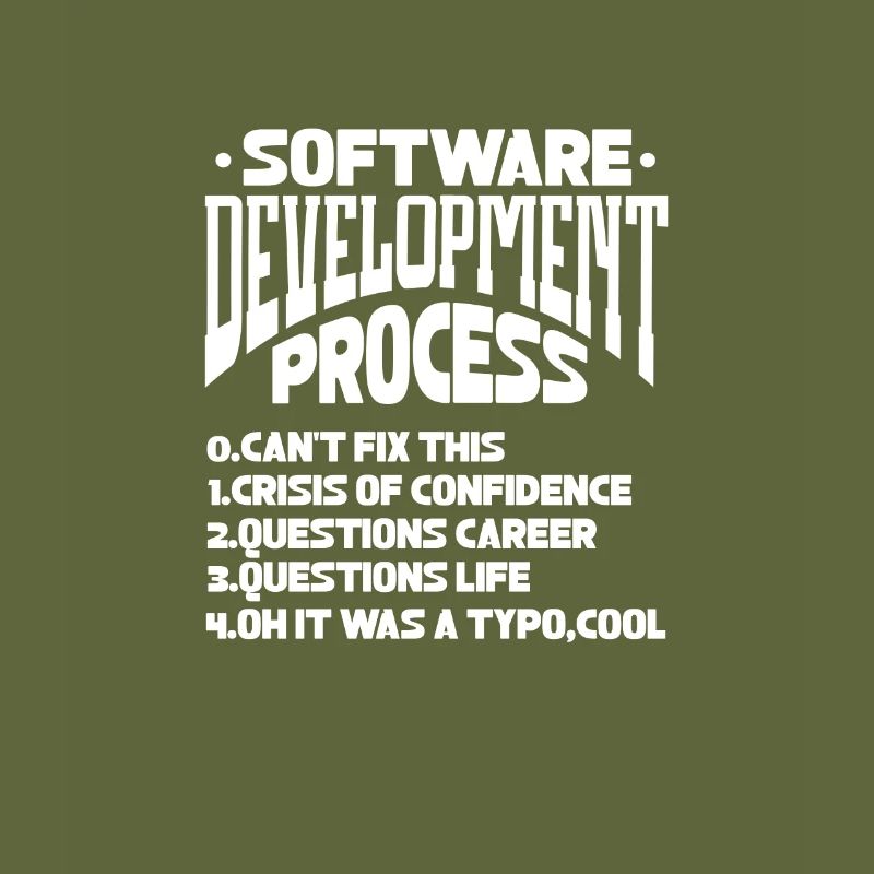 Software Developer Programmer Software