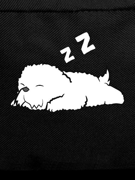 Cute Sleeping Bichon Frise Dog