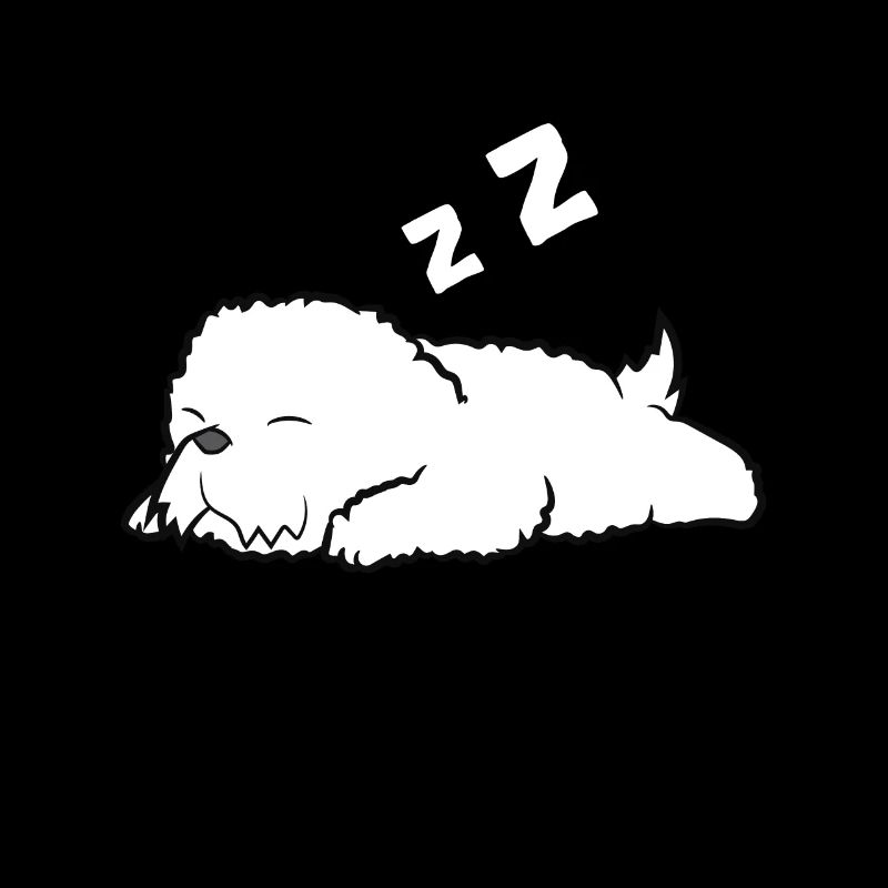Cute Sleeping Bichon Frise Dog