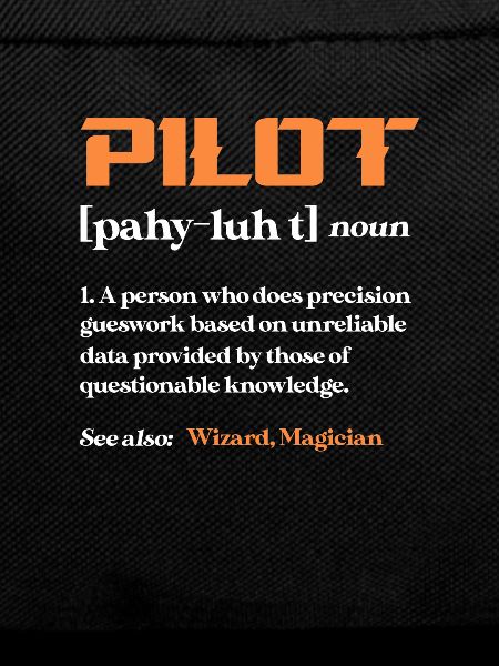 Pilot Airplane Flying Flyer Gift
