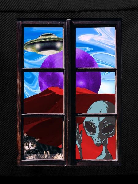 Strange alien cat UFO