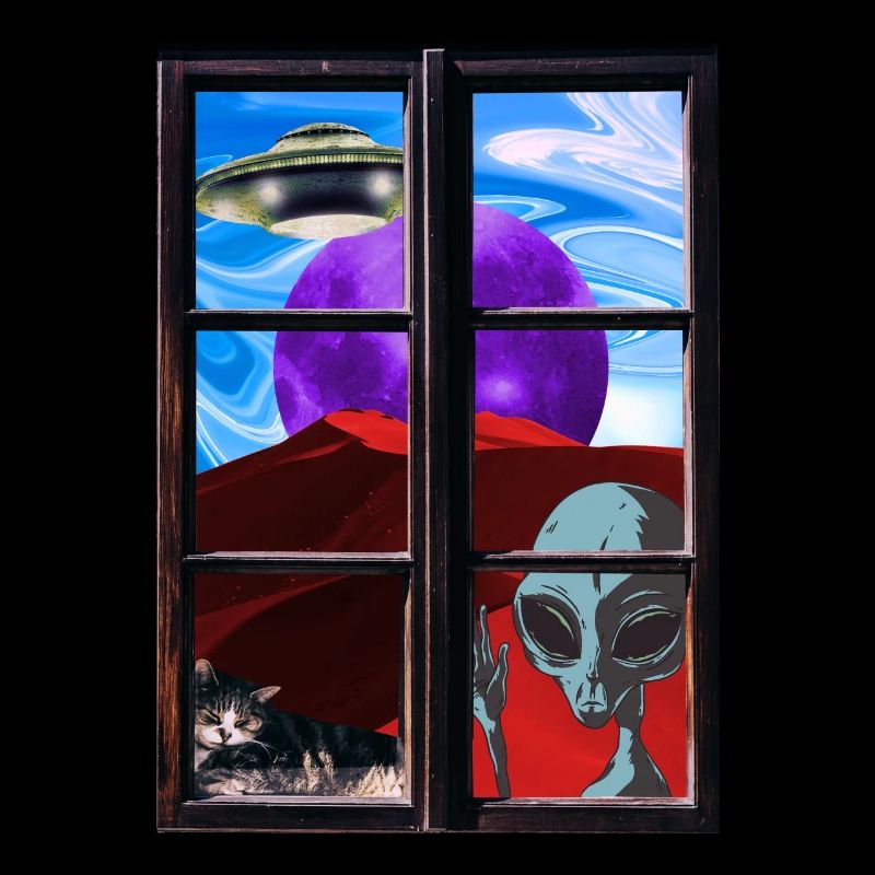 Strange alien cat UFO