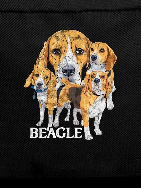 Beagle