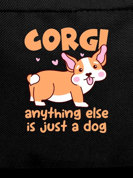 Corgi