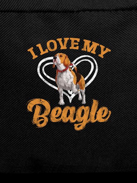 Beagle