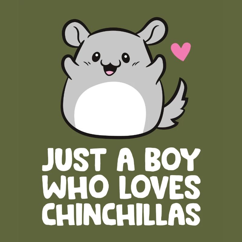 Nur ein Junge, der Chinchillas liebt