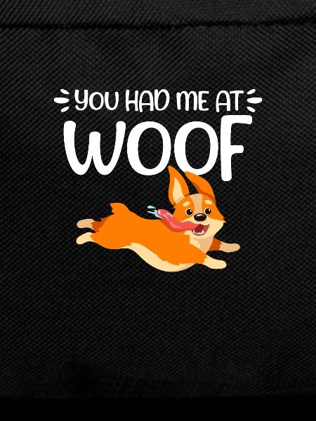 Corgi