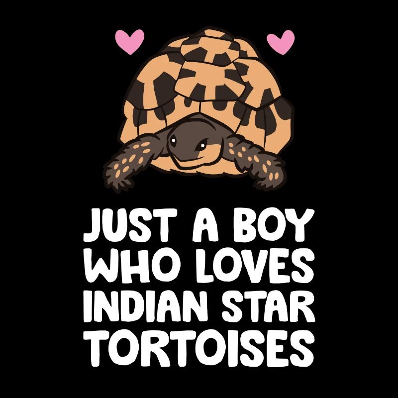 Nur ein Junge, der indische Sternschildkröten