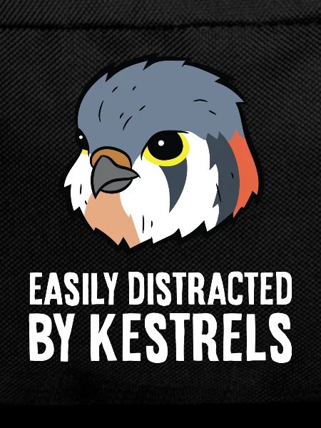 Easily Distracted By Kestrels