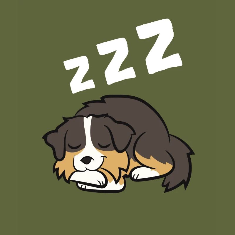 Australian Shepherd Aussie Dog Sleeping