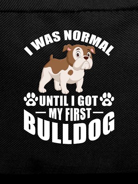 American Bulldog