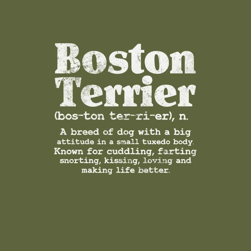 Boston Terrier