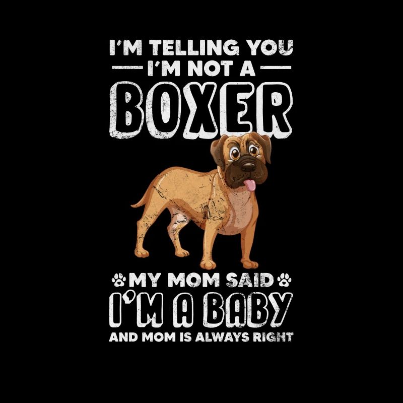 Boxer Hund