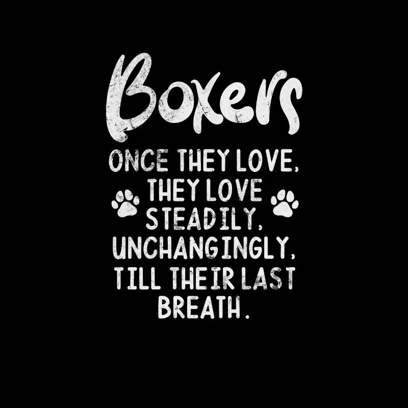 Boxer Hund