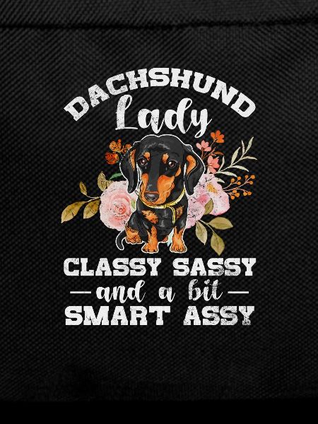 Dachshund