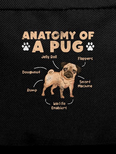 Pug