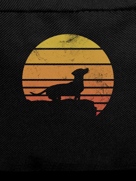 Dachshund