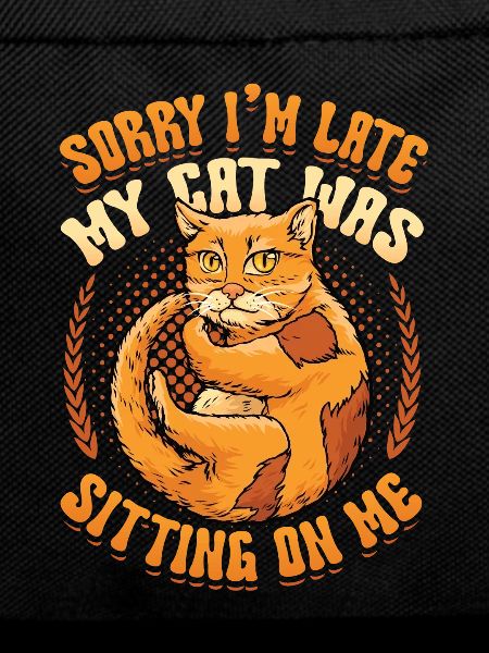 Sorry I'm late