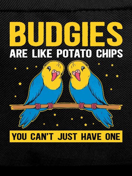 Budgerigar owner budgerigar gift
