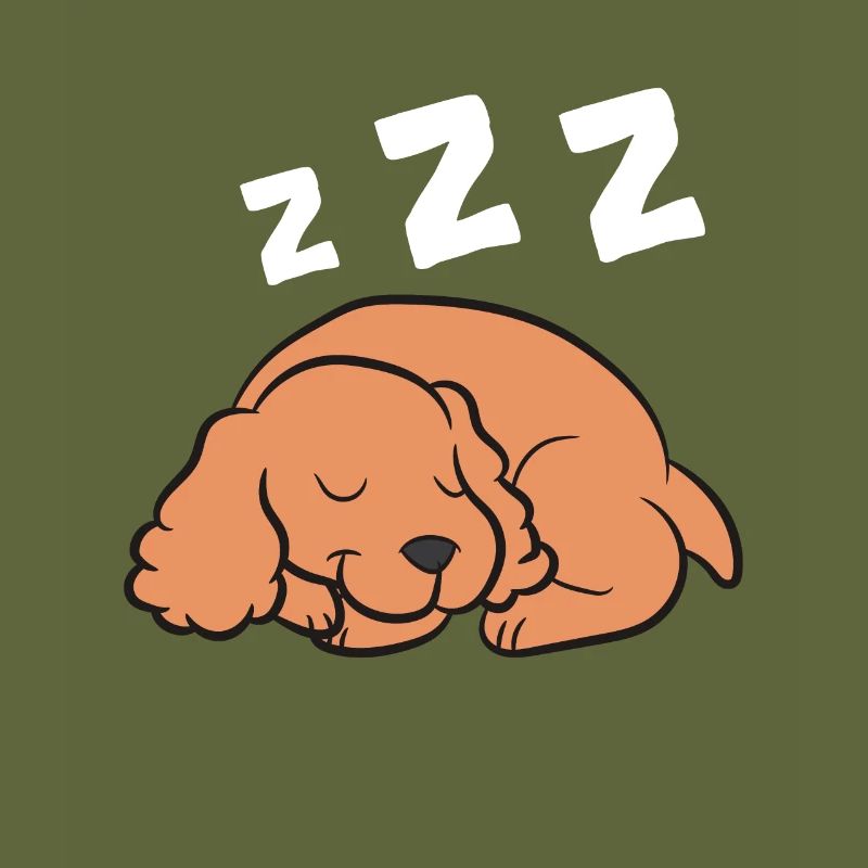 Cocker Spaniel Hund Schlafen Pyjama Cocker