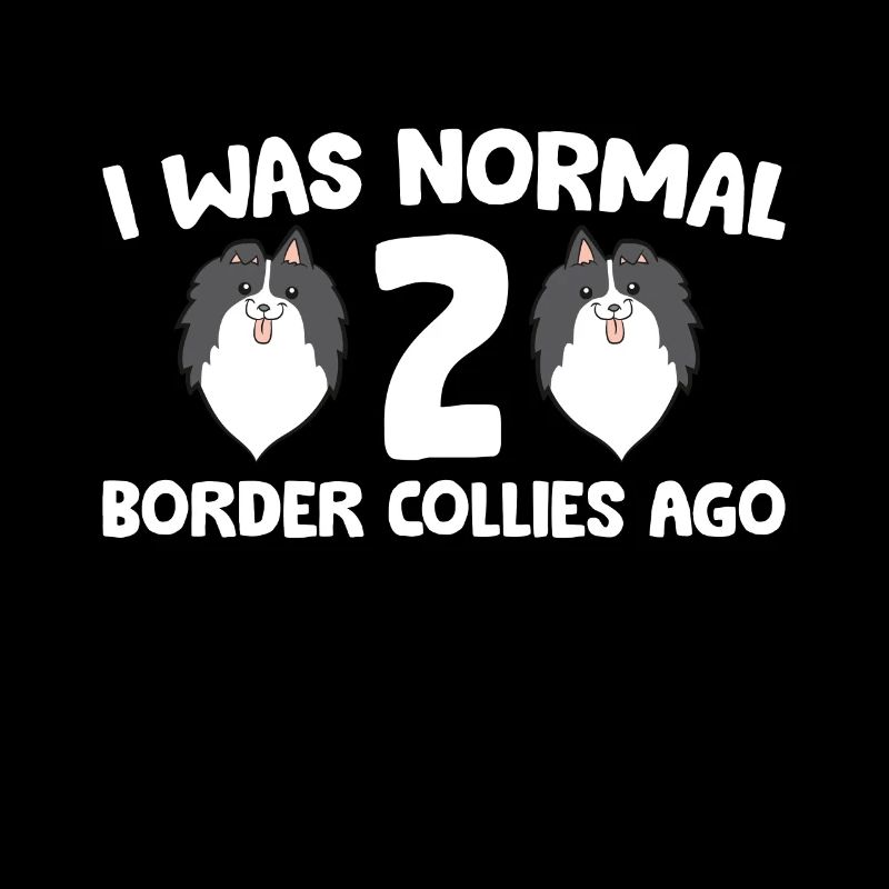 Border Collie Propriétaire J’étais normal 2 Border Collies
