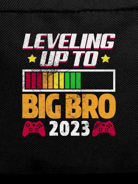 Big Brother Pregnancy