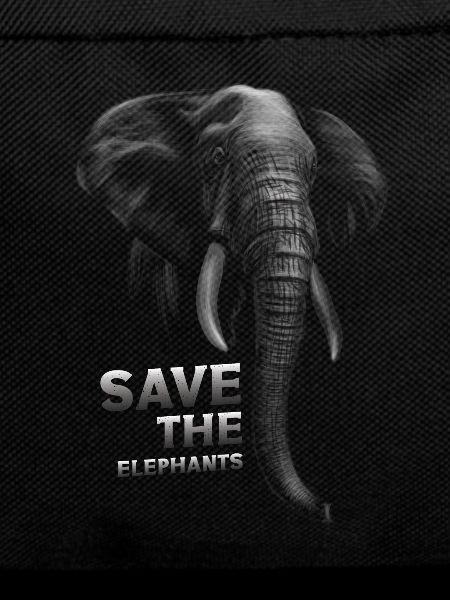 Sauvez les éléphants