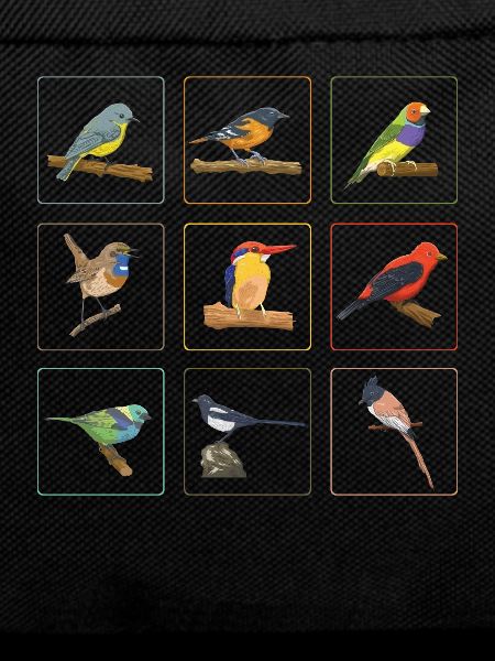 Cute Birds Collection Birdwatching