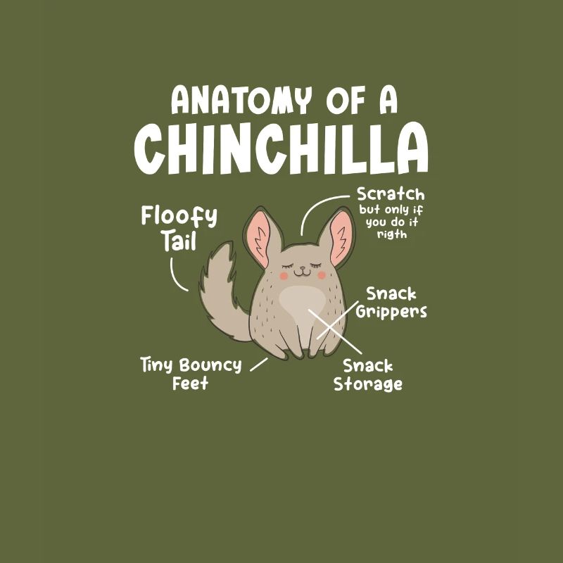 Chinchilla