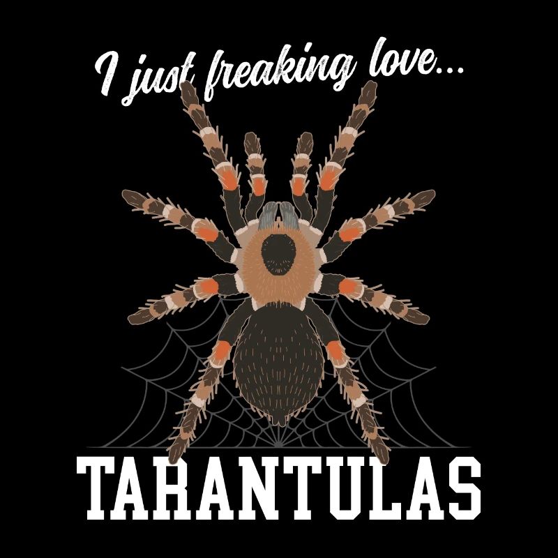 Tarentules Araignée Tarentule Cadeau
