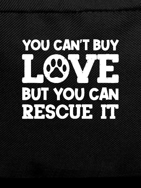 Animal Rescue