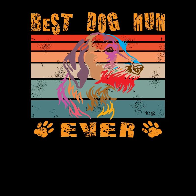 Hunde Deutsch Drahthaar Hundebesitzer