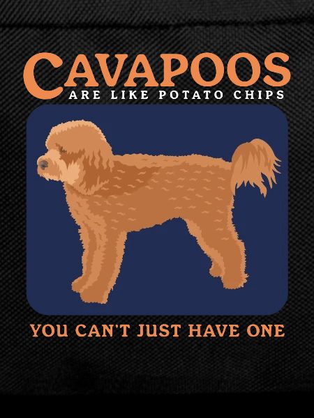 Cavapoo Hunde Cavoodle Hundebesitzer Geschenk