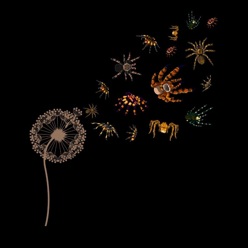 Arachnid Tarantula Gift Dandelion Spider