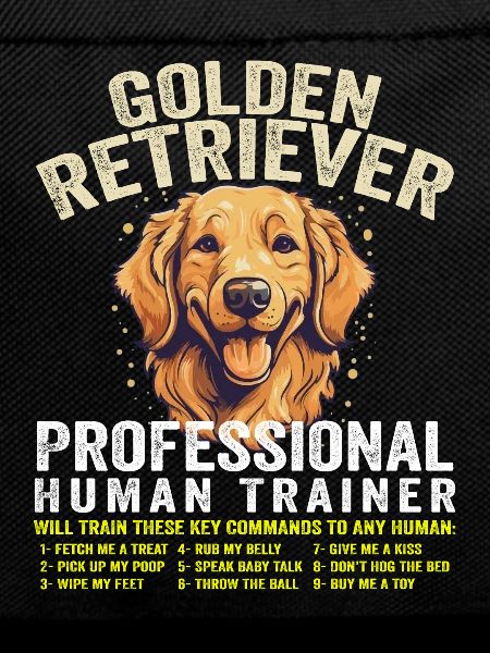 Golden Retriever Professional Human Trainer