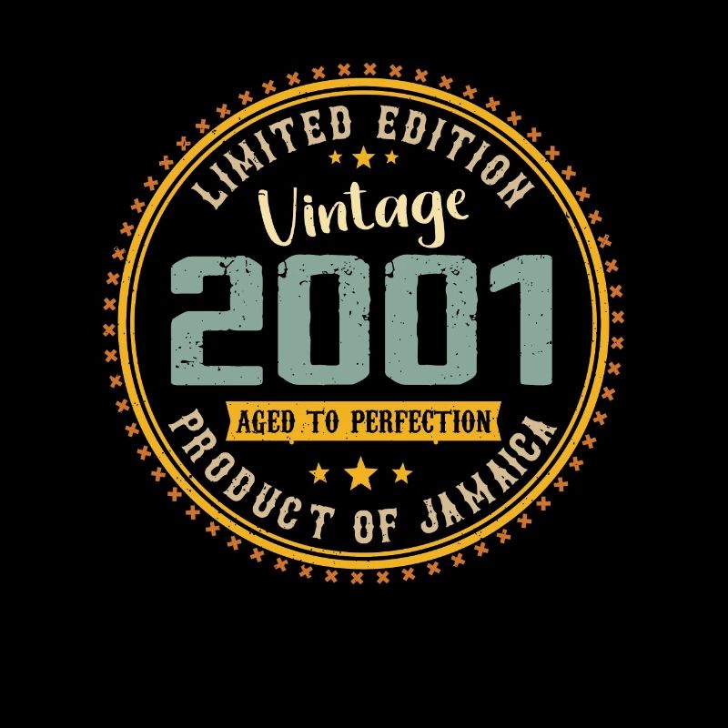 Vintage 2001 Birthday Gift 2001
