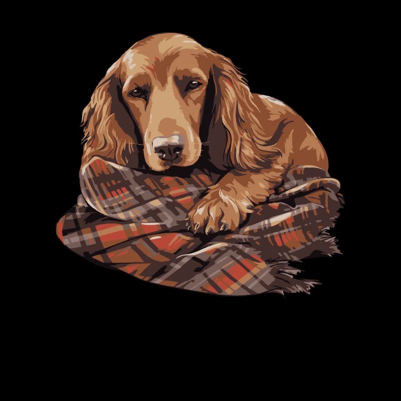 Cute Dog Puppy Irish Setter