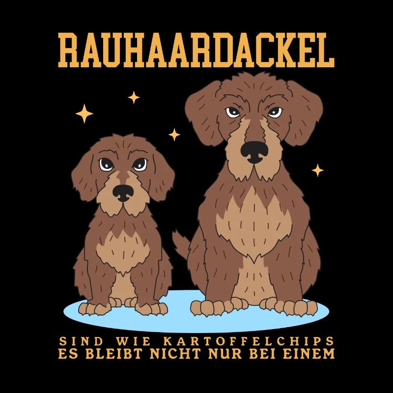 Les teckels à poil dur sont comme le cadeau des chiens de teckels