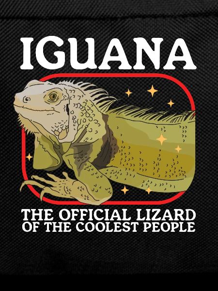 Iguana Lizard Reptile Iguanas Gift