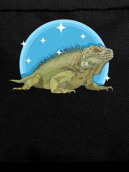 Iguana Lizard Reptile Iguanas Gift
