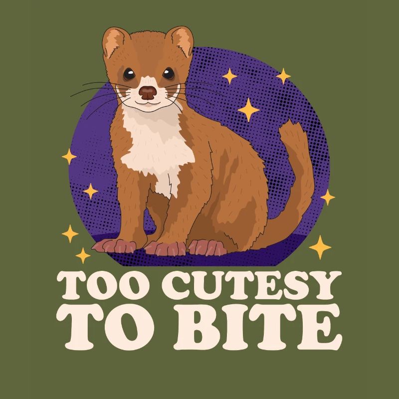 Weasel Mouse Weasel Small Weasel Gift