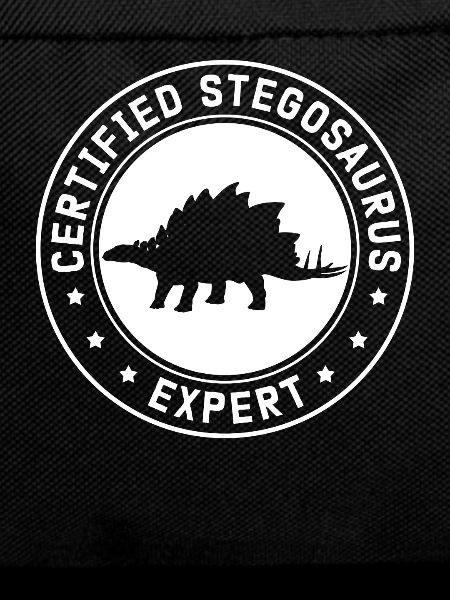 Stegosaurus Dino Gift