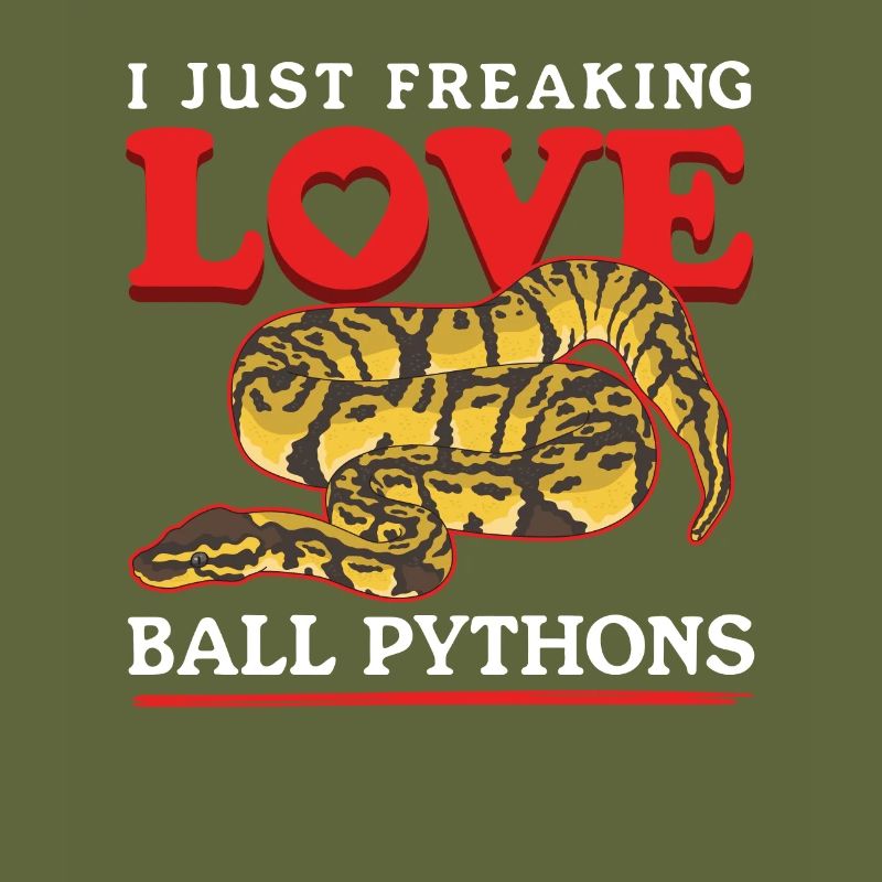 Königspython Schlangen Python Geschenke