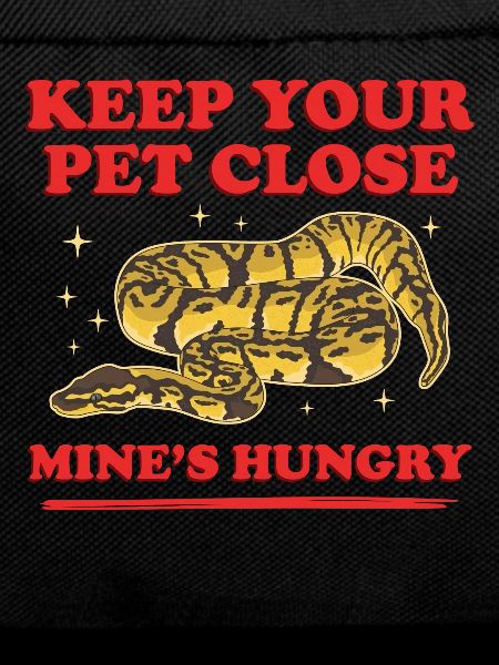 King Python Snake Python Gift