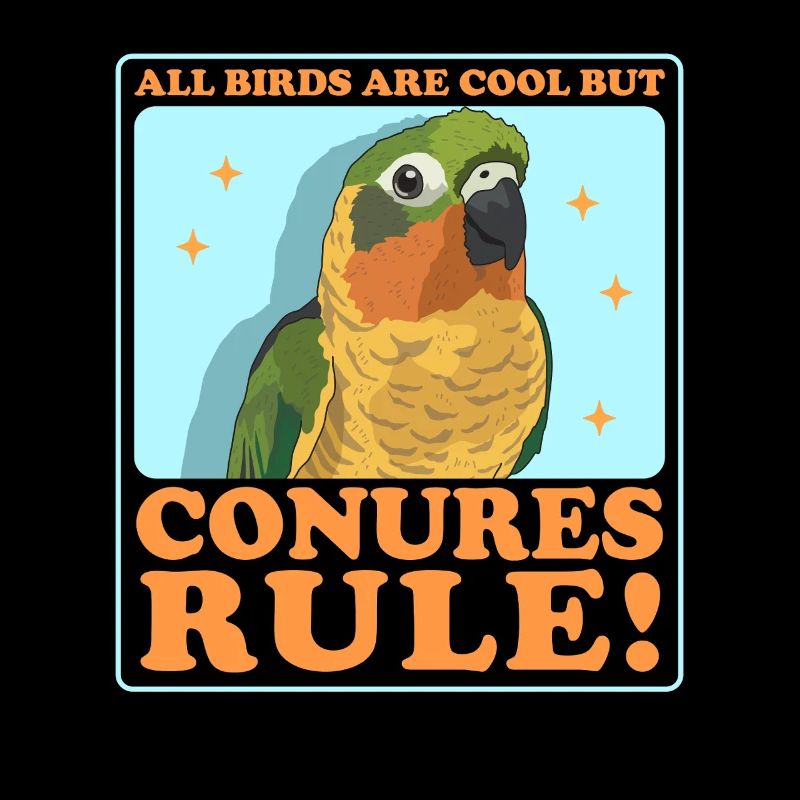 Conure Papageien Conures Geschenk