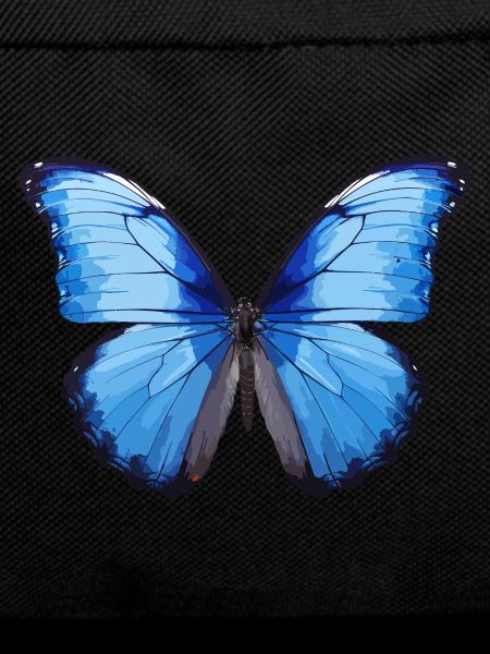 Blue Morpho Butterfly