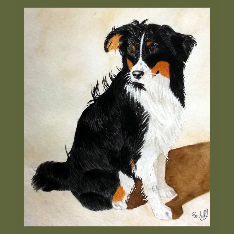 Sitzender Aussie Nanouk