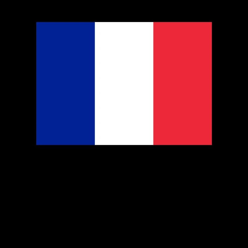France Paris Tour Eiffel Français Flag Fun