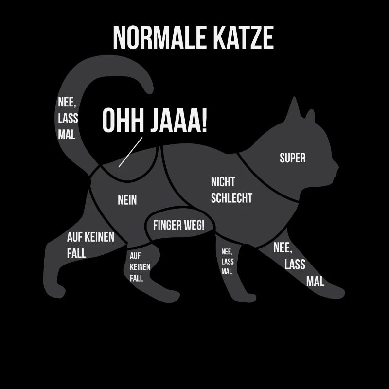 Funny Anatomie Einer Katze Perser Ragdoll Geschenk