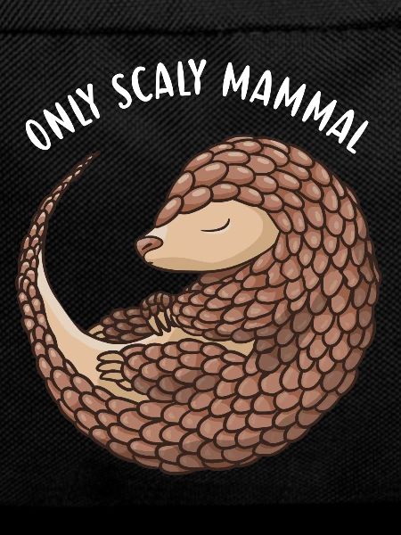 Only Scaly Mammal Pangolin